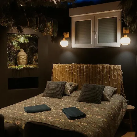 Jungle - Evasion Tropicale - Sauna Jacuzzi Balneo