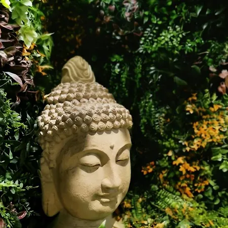 Jungle - Evasion Tropicale - Sauna Jacuzzi Balneo