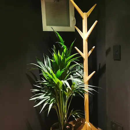 Jungle - évasion Tropicale - Sauna Jacuzzi Balnéo