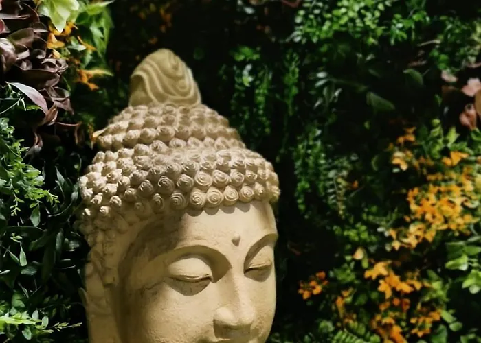 Jungle - évasion Tropicale - Sauna Jacuzzi Balnéo