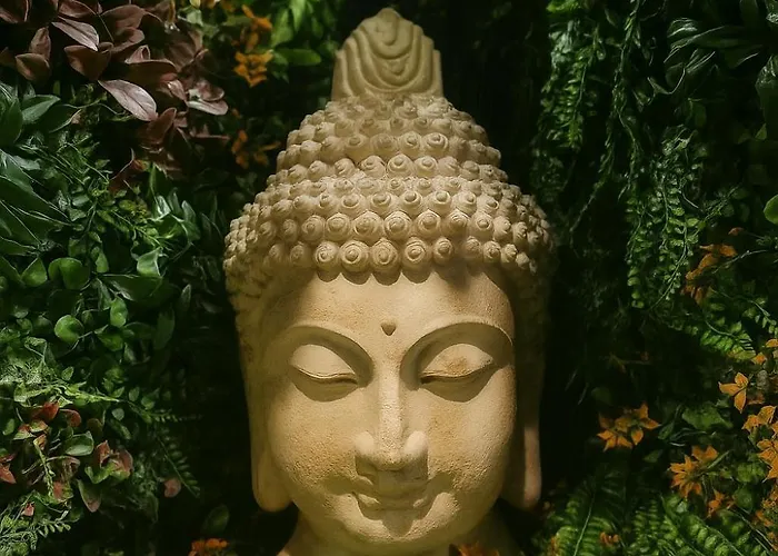 Jungle - évasion Tropicale - Sauna Jacuzzi Balnéo *