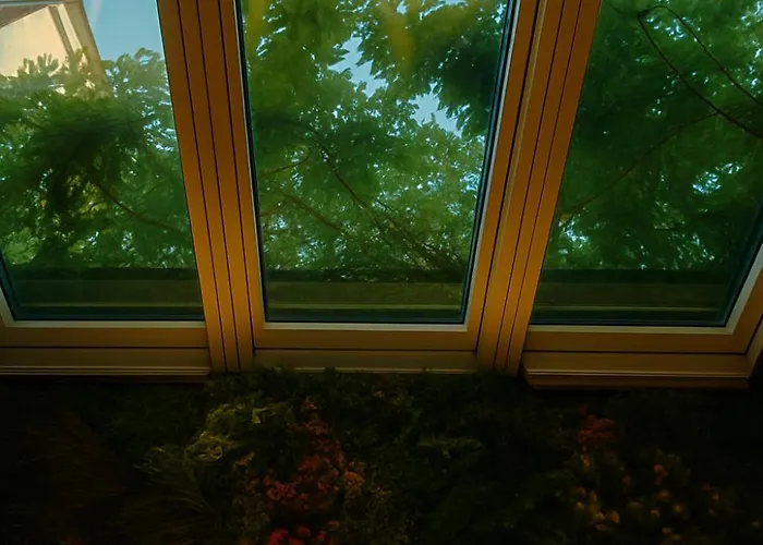 Jungle - Evasion Tropicale - Sauna Jacuzzi Balneo *