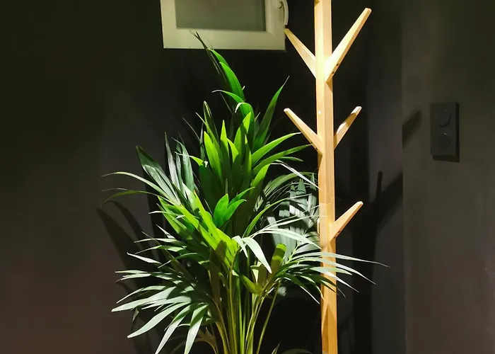 Jungle - Evasion Tropicale - Sauna Jacuzzi Balneo